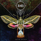 INTO DUST - Vinyl LP