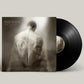 Steal The Light - Vinyl LP