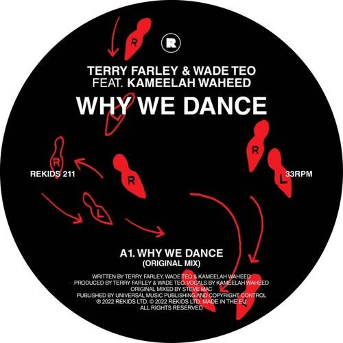 Why We Dance - 12-Inch Single