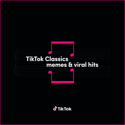 TikTok Classics - Memes & Viral Hits - Vinyl LP