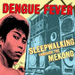 Sleepwalking Through The Mekong - Vinyl LP