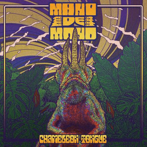 Chameleon Tongue - Vinyl LP