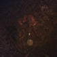 Ampire - Vinyl LP