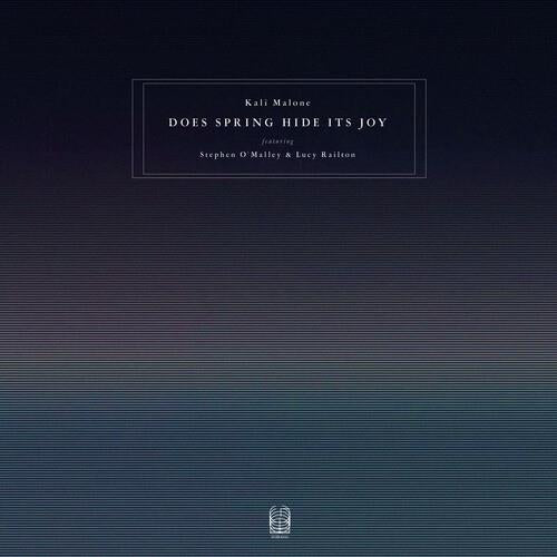 Does Spring Hide Its Joy - Vinyl LP