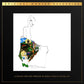 Ladies of the Canyon - Limited Edition Vinyl LP