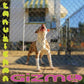 Gizmo - Vinyl LP