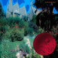 Hayday - Vinyl LP