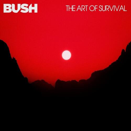 The Art Of Survival - Vinyl LP