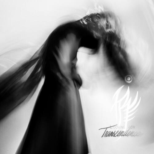 Looking For Transcendence - Vinyl LP