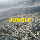 Jungle - Vinyl LP 140 Gram