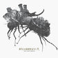 DEN TAPTE KRIGEN - Vinyl LP