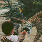 V - Vinyl LP
