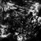 Suffocating Hallucination - Vinyl LP