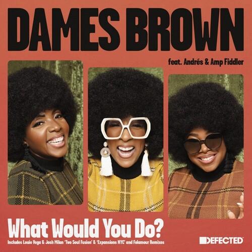 What Would You Do? (Remixes) - 12-Inch Single
