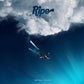 Bright Blues - Vinyl LP