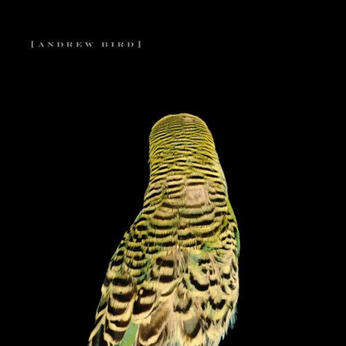 Armchair Apocrypha - Vinyl LP