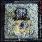 Our Finest Flowers - Vinyl LP