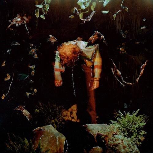 Worm Food - Vinyl LP