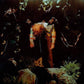 Worm Food - Vinyl LP