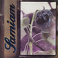 Samiam - Clear - Vinyl LP
