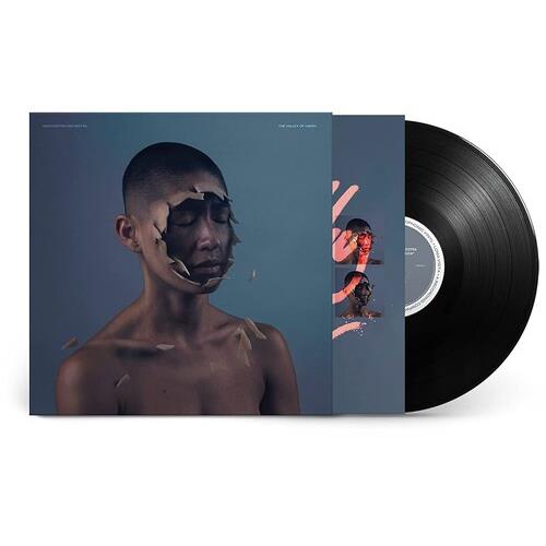 The Valley Of Vision - Vinyl LP