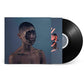 The Valley Of Vision - Vinyl LP