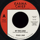 By The Lake - Vinyl LP