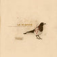 Somewhere at the Bottom of the River Between Vega and Altair - Vinyl LP (Brown)