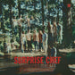 Friendship Ep - 12-Inch Single