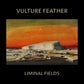 Vulture Feather - Bone - Vinyl LP