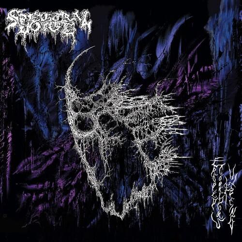Eroded Corridors Of Unbeing - Vinyl LP
