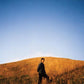 Dear Departed - Vinyl LP