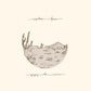 Appaloosa Bones - Brown - Vinyl LP (Brown)
