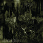 Anthems To The Welkin At Dusk - Vinyl LP