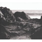 Ocean Death - 12-Inch Single