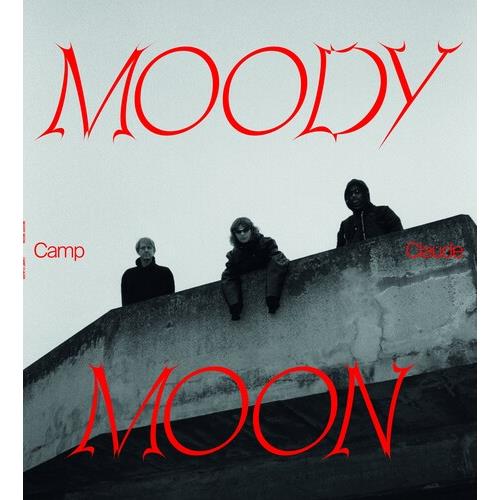 Moody Moon - Vinyl LP