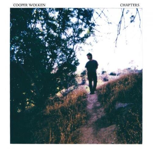 Chapters - Vinyl LP