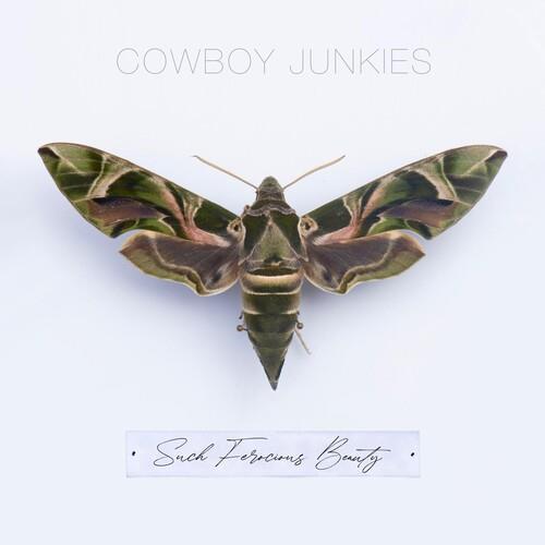 Such Ferocious Beauty - Limited Edition Vinyl LP 140 Gram (Green)