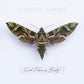 Such Ferocious Beauty - Limited Edition Vinyl LP 140 Gram (Green)