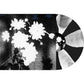 Last - Vinyl LP (Black/White)
