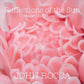 Reflections Of The Sun - Vinyl LP (Pink)