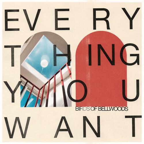 Everything You Want - Vinyl LP 180 Gram (White)