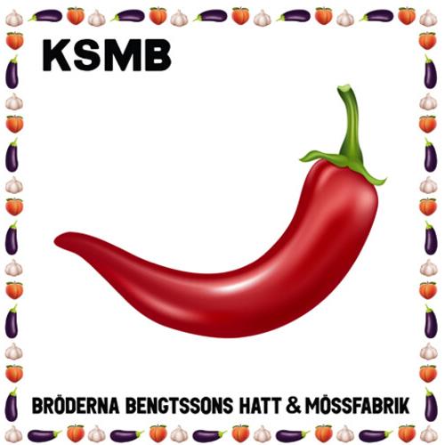 Broderna Bengtssons Hatt & Mossfabrik - Vinyl LP