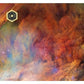 Arrival - Vinyl LP