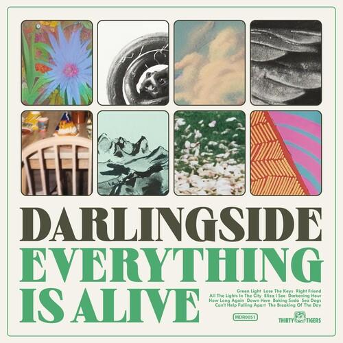 Everything Is Alive - Vinyl LP