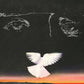Natural Causes - Vinyl LP