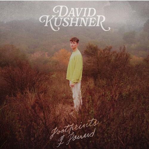 Footprints I Found - Vinyl LP (Silver/Brown/Yellow)