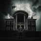 Mansion - Vinyl LP