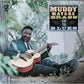 Muddy, Brass & The Blues - Vinyl LP