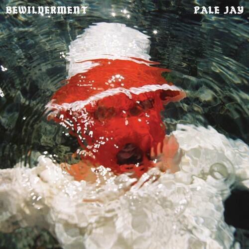 Bewilderment - Vinyl LP